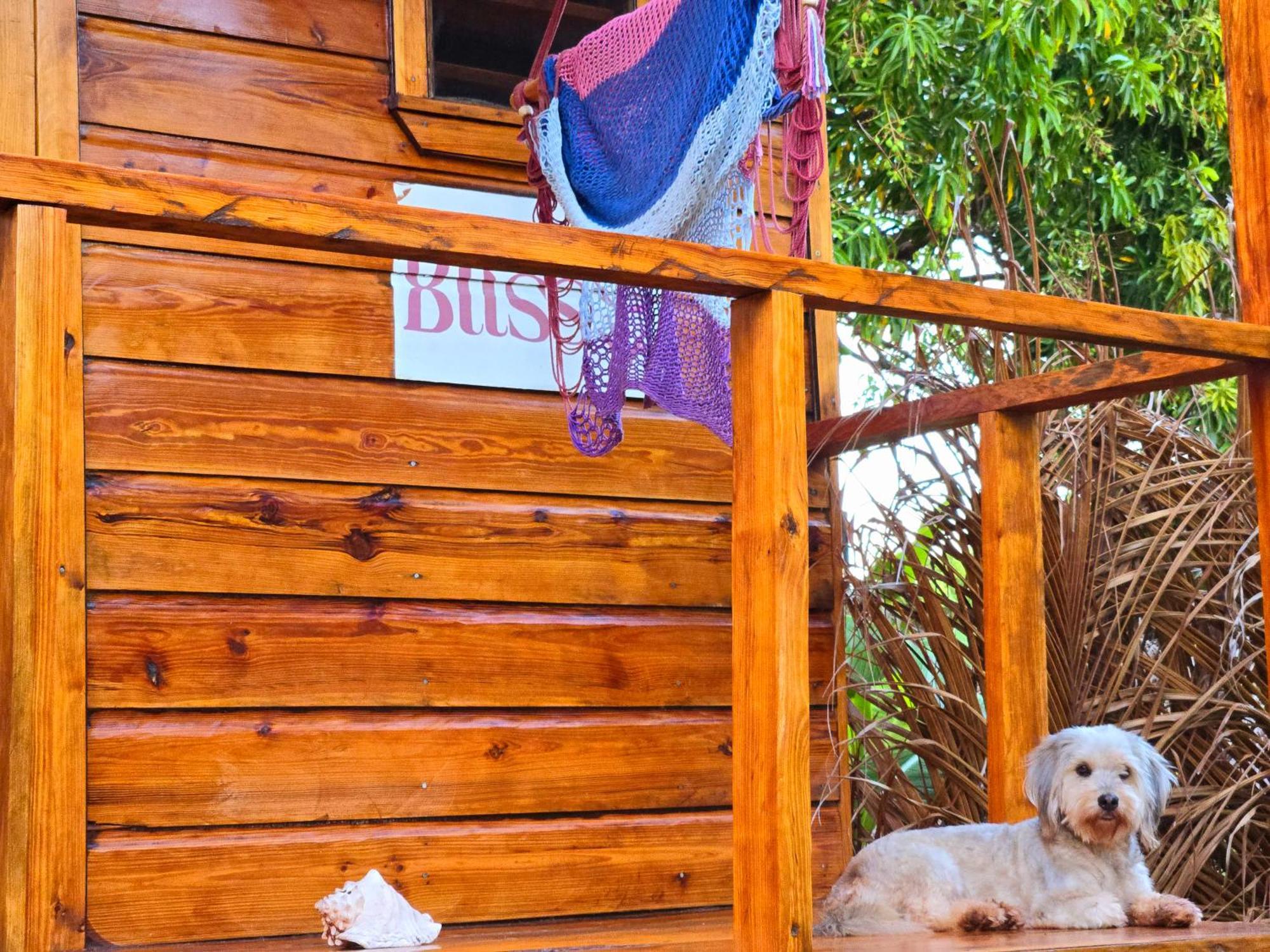 Hotel The Lighthouse Retreat, Little Corn Island, Nicaragua Exterior foto