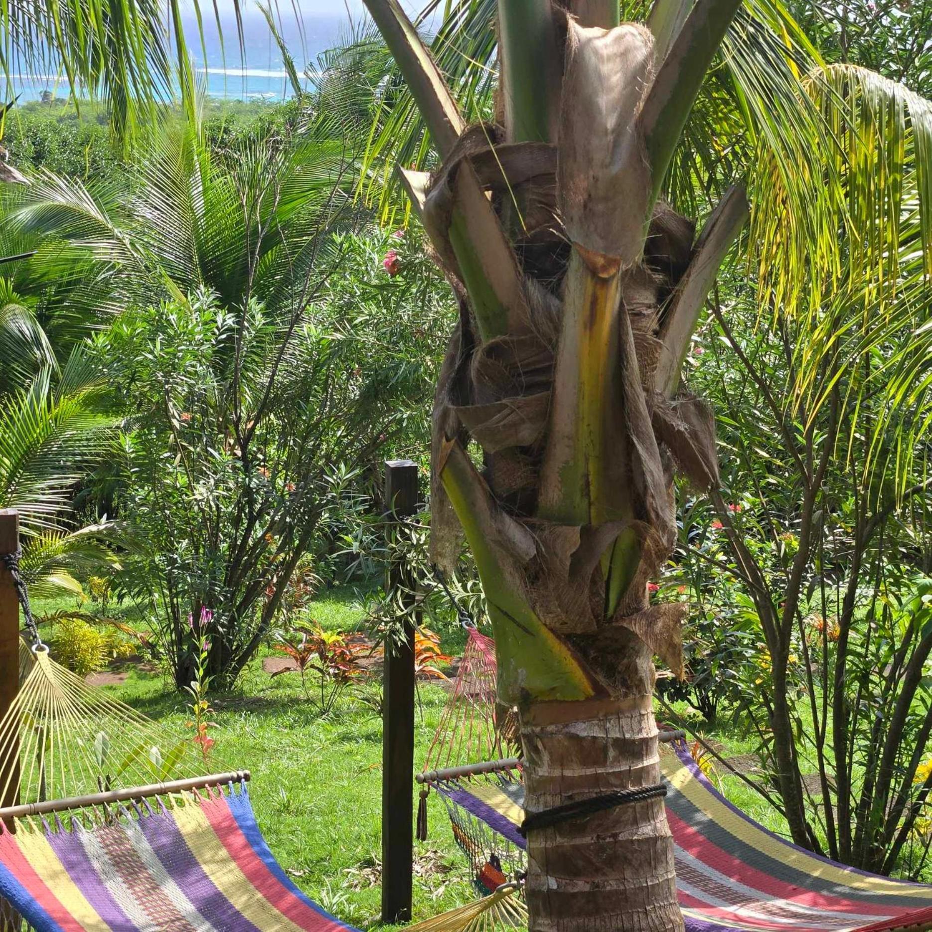 Hotel The Lighthouse Retreat, Little Corn Island, Nicaragua Exterior foto